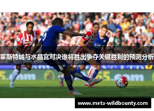 莱斯特城与水晶宫对决谁将胜出争夺关键胜利的预测分析 莱斯特城与水晶宫对决谁将胜出争夺关键胜利的预测分析