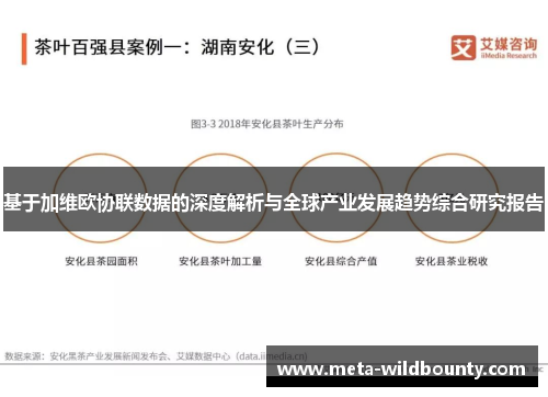 基于加维欧协联数据的深度解析与全球产业发展趋势综合研究报告