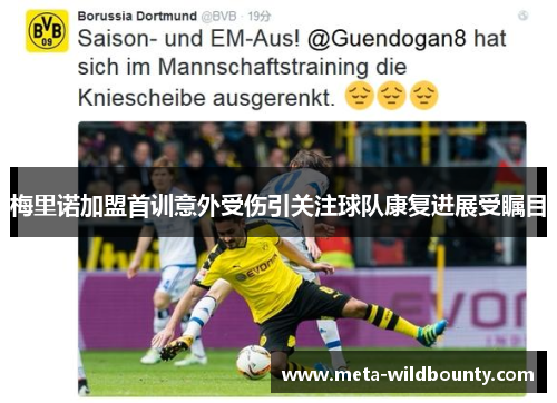 梅里诺加盟首训意外受伤引关注球队康复进展受瞩目